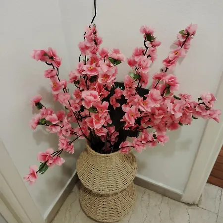 Apartmán Tiny Japan *