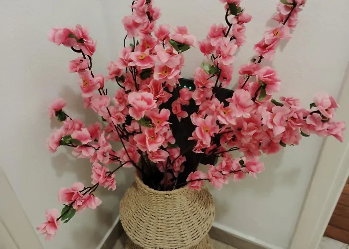 Apartment Tiny Japan *